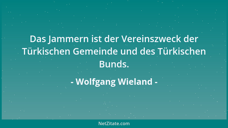 Wolfgang Wieland - Das Jammern ist der Vereinszweck der Türkischen Gemeinde und des Türkischen Bunds....