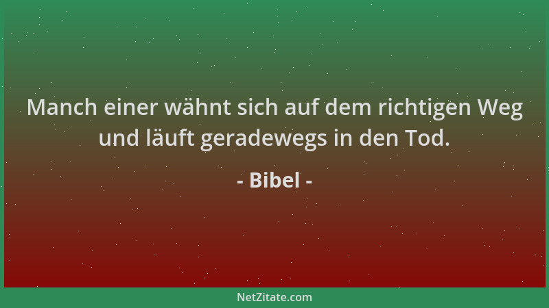 Bibel - Manch einer wähnt sich auf dem richtigen Weg und läuft geradewegs in den Tod....