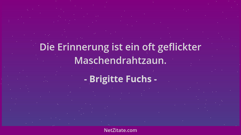 Brigitte Fuchs - Die Erinnerung ist ein oft geflickter Maschendrahtzaun....