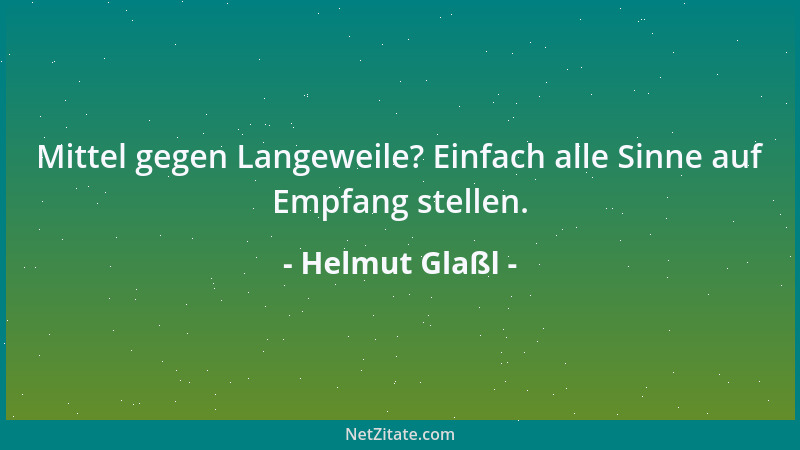 Helmut Glaßl - Mittel gegen Langeweile? Einfach alle Sinne auf Empfang stellen....
