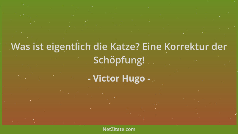 Victor Hugo - Was ist eigentlich die Katze? Eine Korrektur der Schöpfung!...