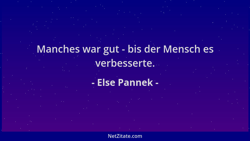 Else Pannek - Manches war gut - bis der Mensch es verbesserte....