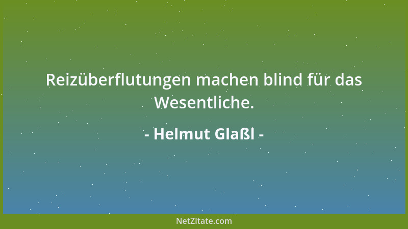Helmut Glaßl - Reizüberflutungen machen blind für das Wesentliche....