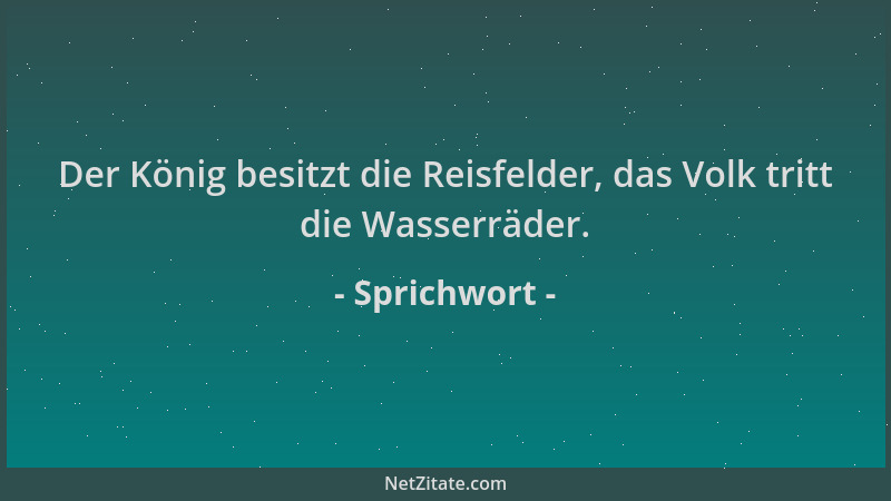 Sprichwort - Der König besitzt die Reisfelder, das Volk tritt die Wasserräder....