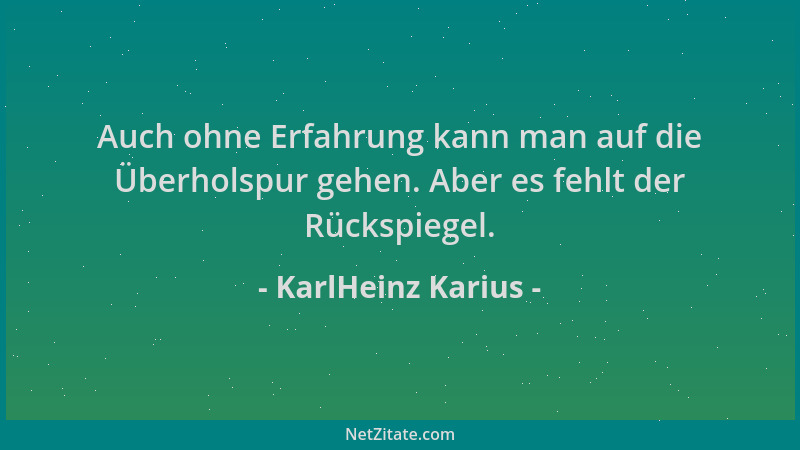 KarlHeinz Karius - Auch ohne Erfahrung kann man auf die Überholspur gehen. Aber es fehlt der Rückspiegel....