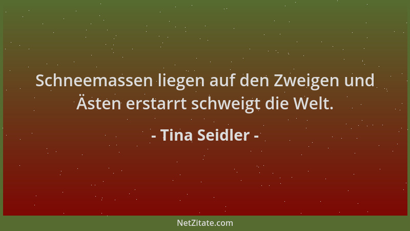 Tina Seidler - Schneemassen liegen auf den Zweigen und Ästen erstarrt schweigt die Welt....