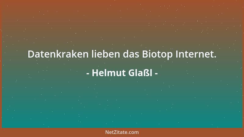 Helmut Glaßl - Datenkraken lieben das Biotop Internet....