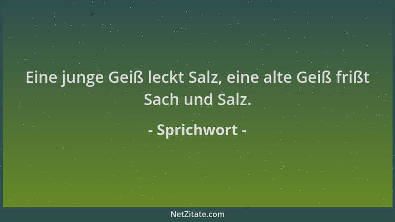 Sprichwort - Eine junge Geiß leckt Salz, eine alte Geiß frißt Sach und Salz....