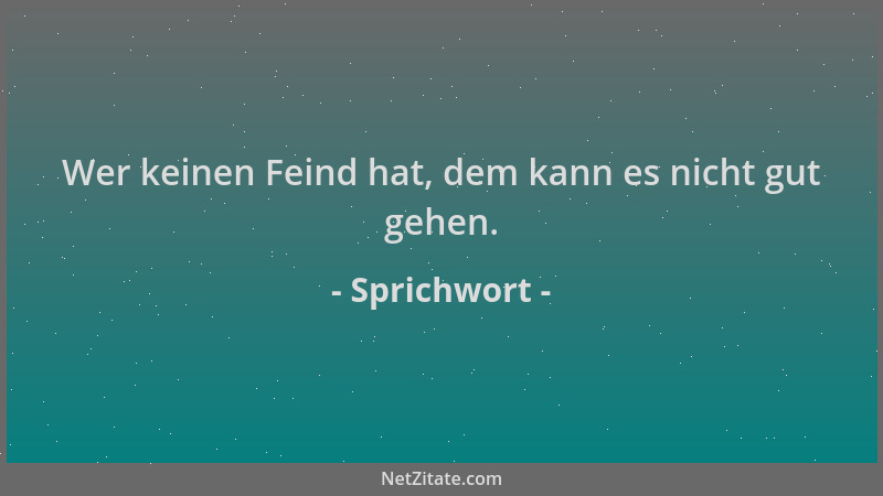Sprichwort - Wer keinen Feind hat, dem kann es nicht gut gehen....