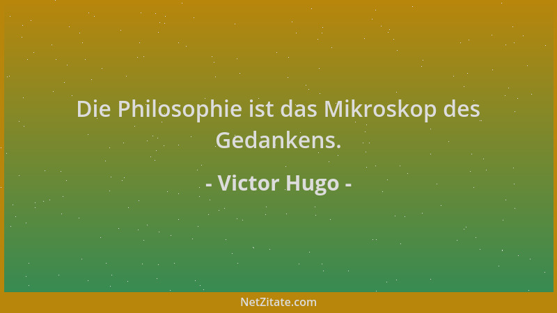 Victor Hugo - Die Philosophie ist das Mikroskop des Gedankens....