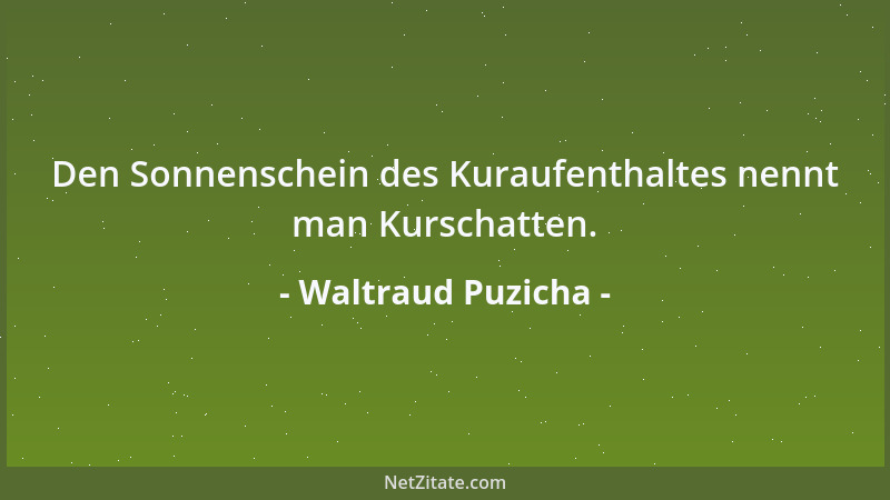 Waltraud Puzicha - Den Sonnenschein des Kuraufenthaltes nennt man Kurschatten....