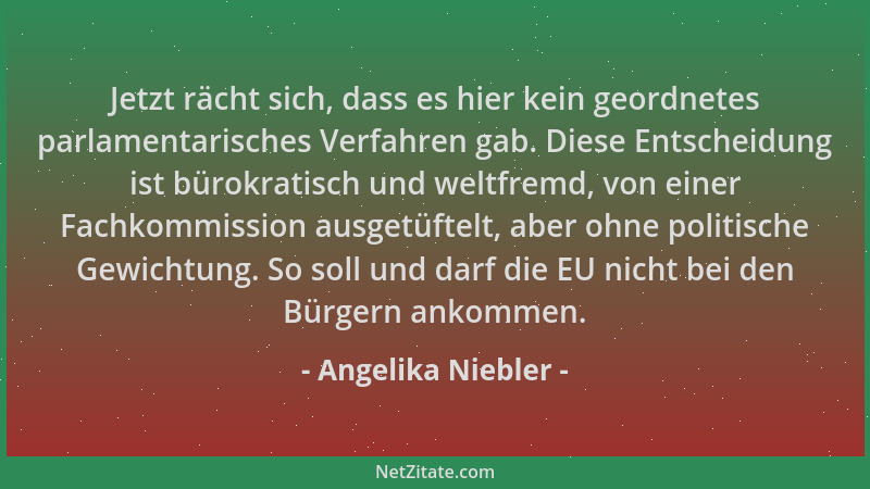 Angelika Niebler - Jetzt rächt sich, dass es hier kein geordnetes parlamentarisches Verfahren gab. Diese Entscheidung ist b...