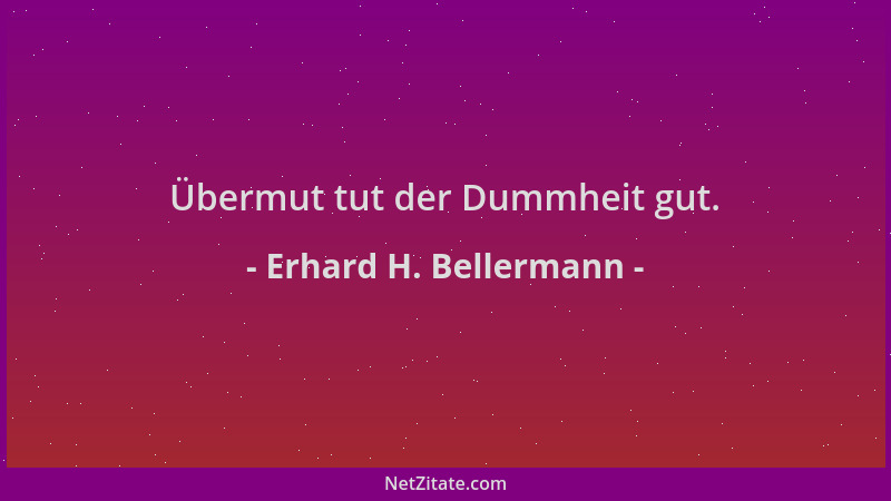 Erhard H. Bellermann - Übermut tut der Dummheit gut....