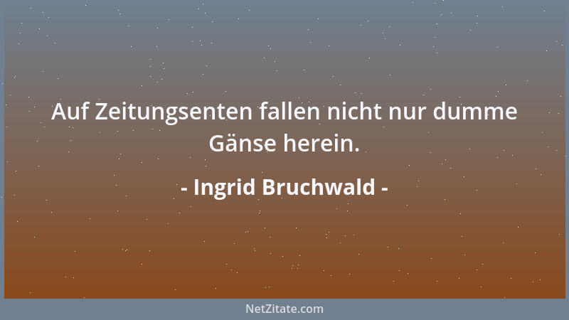 Ingrid Bruchwald - Auf Zeitungsenten fallen nicht nur dumme Gänse herein....