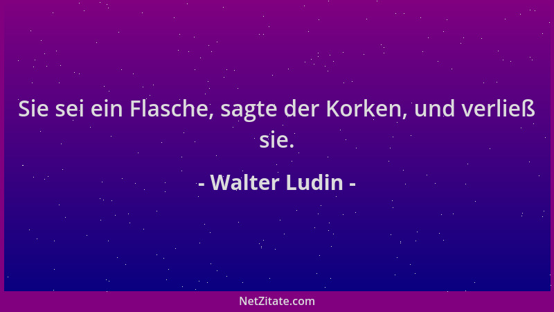 Walter Ludin - Sie sei ein Flasche, sagte der Korken, und verließ sie....
