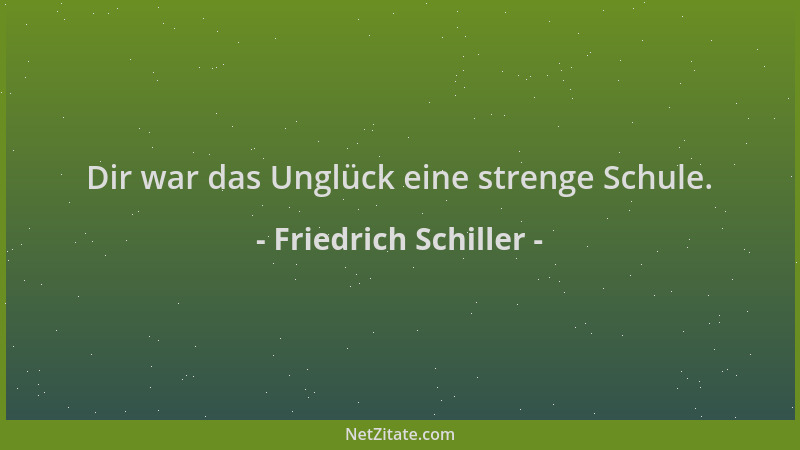 Friedrich Schiller - Dir war das Unglück eine strenge Schule....