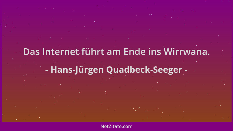 Hans-Jürgen Quadbeck-Seeger - Das Internet führt am Ende ins Wirrwana....