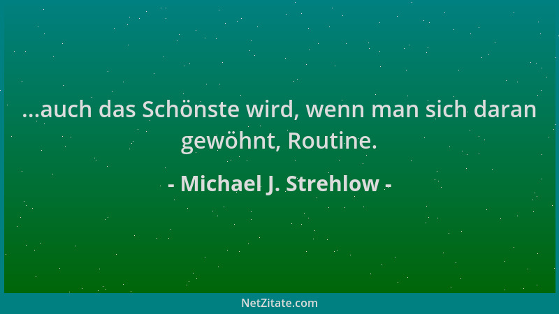 Michael J. Strehlow - ...auch das Schönste wird, wenn man sich daran gewöhnt, Routine....