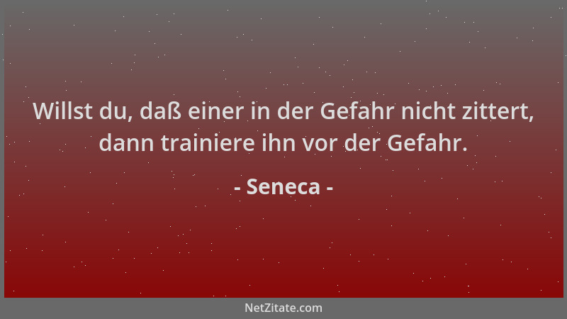 Seneca - Willst du, daß einer in der Gefahr nicht zittert, dann trainiere ihn vor der Gefahr....