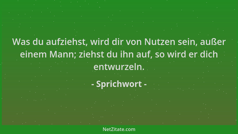 Sprichwort - Was du aufziehst, wird dir von Nutzen sein, außer einem Mann; ziehst du ihn auf, so wird er dich entwurzeln....