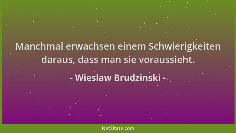 Wieslaw Brudzinski - Manchmal erwachsen einem Schwierigkeiten daraus, dass man sie voraussieht....