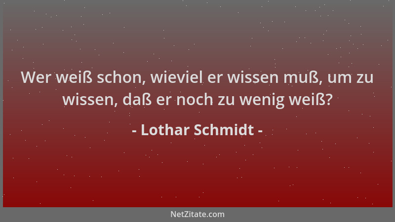 Lothar Schmidt - Wer weiß schon, wieviel er wissen muß, um zu wissen, daß er noch zu wenig weiß?...