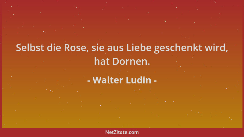 Walter Ludin - Selbst die Rose, sie aus Liebe geschenkt wird, hat Dornen....