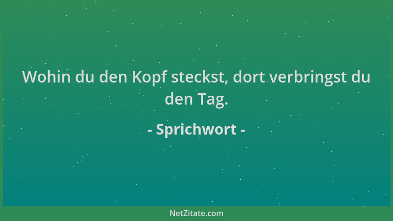 Sprichwort - Wohin du den Kopf steckst, dort verbringst du den Tag....