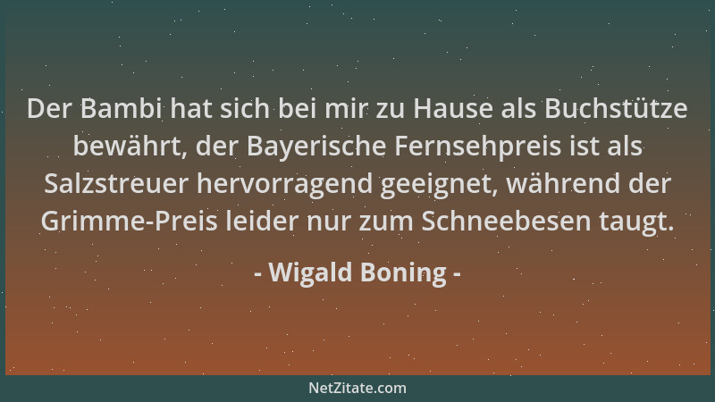 Wigald Boning - Der Bambi hat sich bei mir zu Hause als Buchstütze bewährt, der Bayerische Fernsehpreis ist als Salzstreuer...