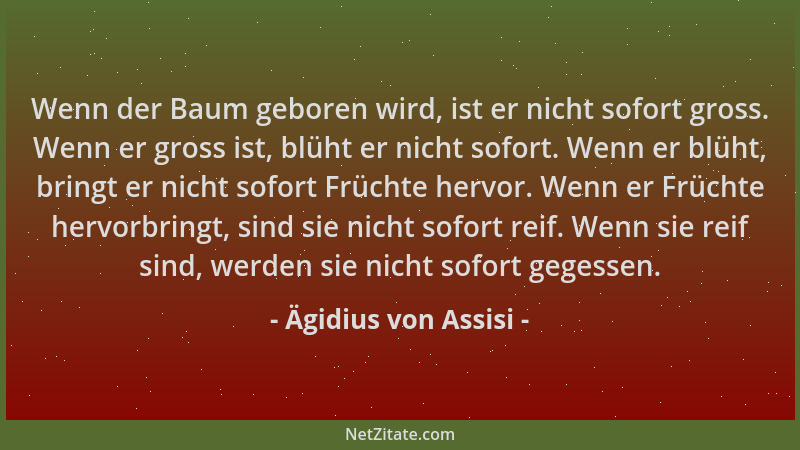 Ägidius von Assisi - Wenn der Baum geboren wird, ist er nicht sofort gross. Wenn er gross ist, blüht er nicht sofort. Wenn...