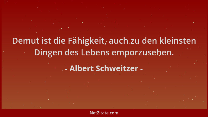 Albert Schweitzer - Demut ist die Fähigkeit, auch zu den kleinsten Dingen des Lebens emporzusehen....
