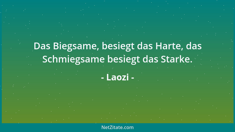 Laozi - Das Biegsame, besiegt das Harte, das Schmiegsame besiegt das Starke....