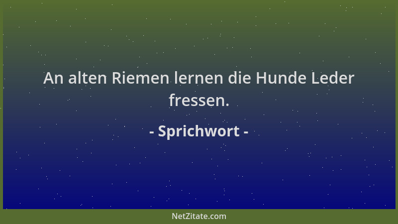 Sprichwort - An alten Riemen lernen die Hunde Leder fressen....