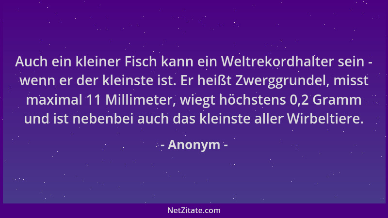 Anonym - Auch ein kleiner Fisch kann ein Weltrekordhalter sein - wenn er der kleinste ist. Er heißt Zwerggrundel, misst max...