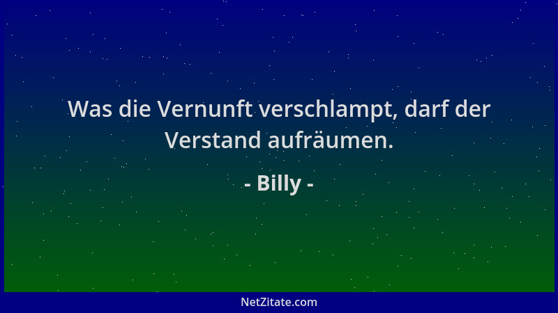 Billy - Was die Vernunft verschlampt, darf der Verstand aufräumen....