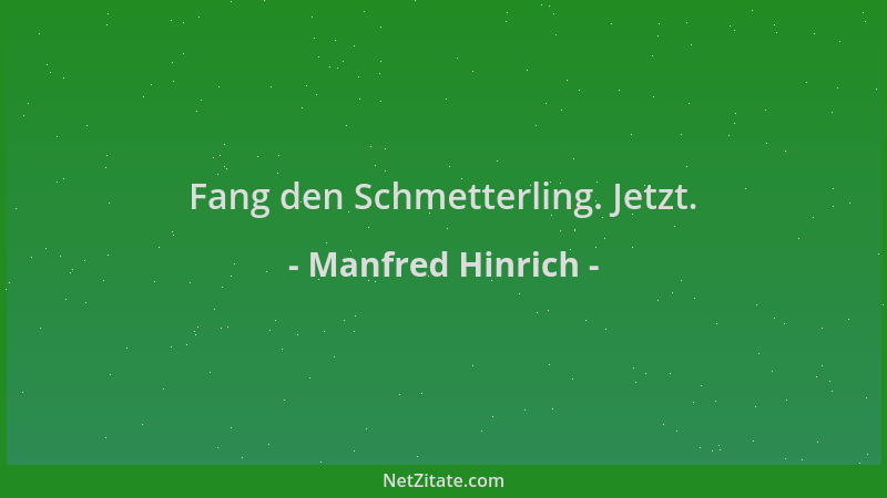 Manfred Hinrich - Fang den Schmetterling. Jetzt....