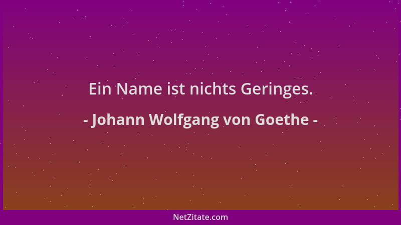 Johann Wolfgang von Goethe - Ein Name ist nichts Geringes....