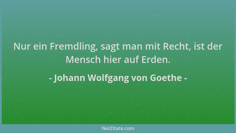 Johann Wolfgang von Goethe - Nur ein Fremdling, sagt man mit Recht, ist der Mensch hier auf Erden....