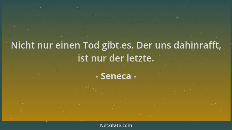 Seneca - Nicht nur einen Tod gibt es. Der uns dahinrafft, ist nur der letzte....