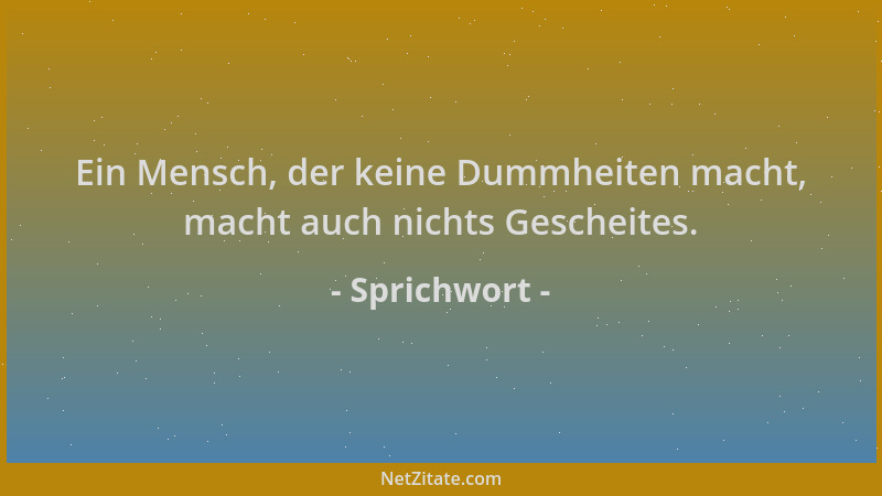 Sprichwort - Ein Mensch, der keine Dummheiten macht, macht auch nichts Gescheites....