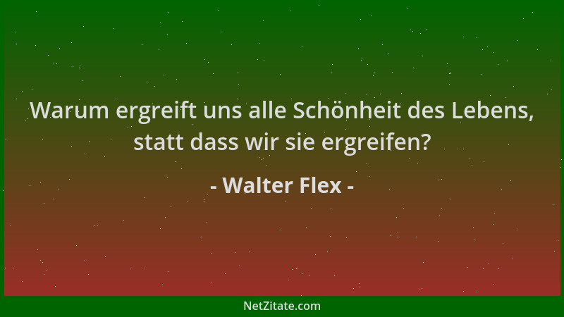 Walter Flex - Warum ergreift uns alle Schönheit des Lebens, statt dass wir sie ergreifen?...