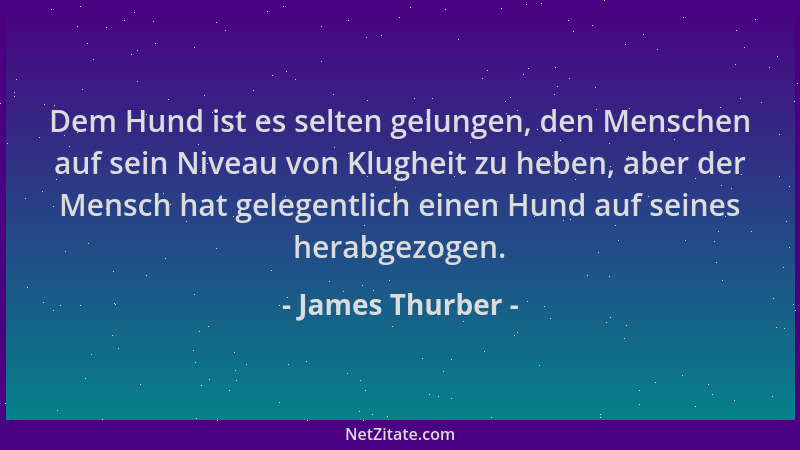 James Thurber - Dem Hund ist es selten gelungen, den Menschen auf sein Niveau von Klugheit zu heben, aber der Mensch hat ge...