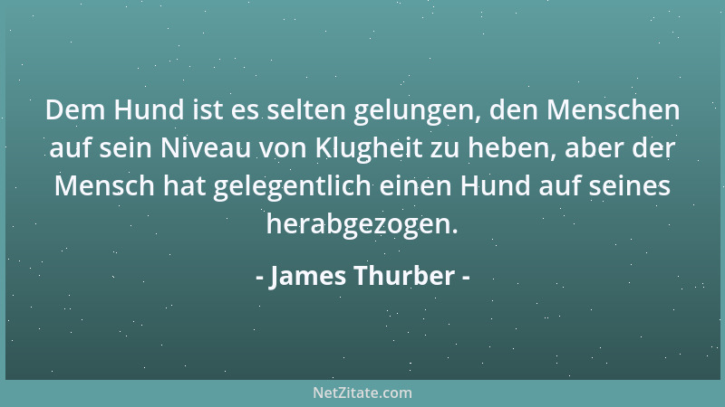 James Thurber - Dem Hund ist es selten gelungen, den Menschen auf sein Niveau von Klugheit zu heben, aber der Mensch hat ge...