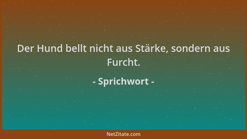 Sprichwort - Der Hund bellt nicht aus Stärke, sondern aus Furcht....
