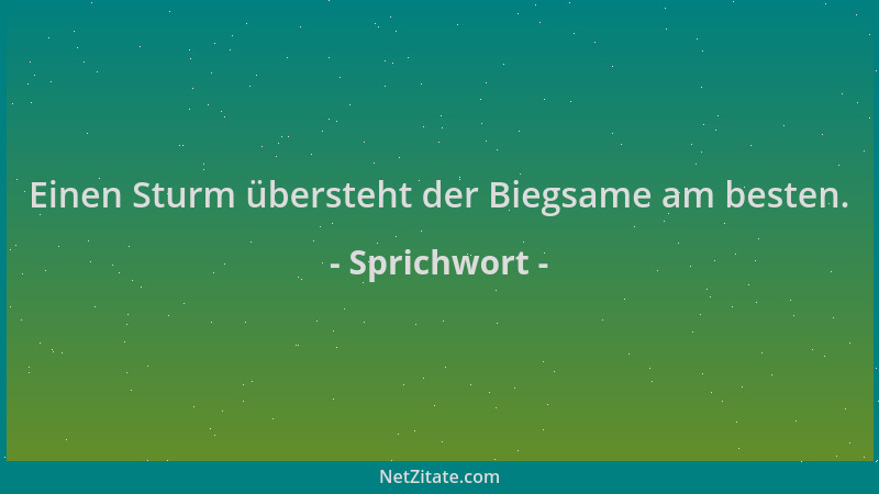 Sprichwort - Einen Sturm übersteht der Biegsame am besten....