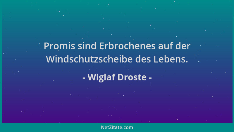 Wiglaf Droste - Promis sind Erbrochenes auf der Windschutzscheibe des Lebens....