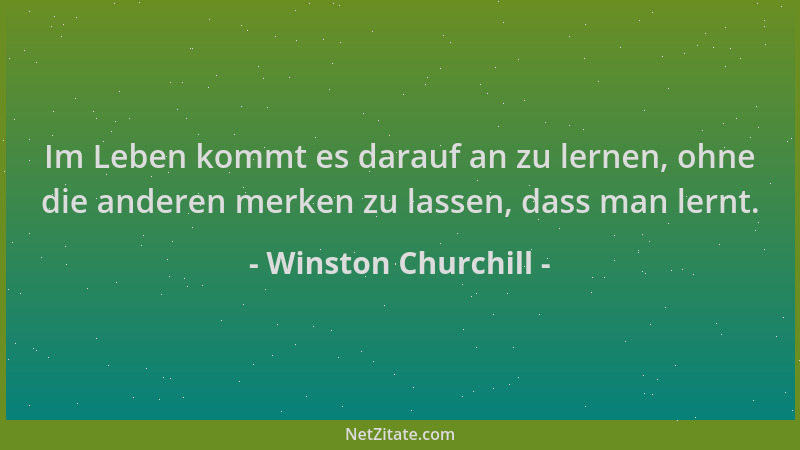 Winston Churchill - Im Leben kommt es darauf an zu lernen, ohne die anderen merken zu lassen, dass man lernt....