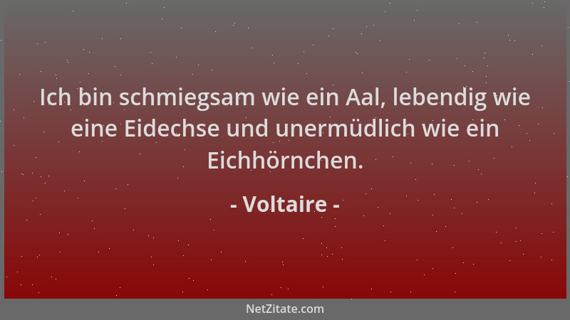 Voltaire - Ich bin schmiegsam wie ein Aal, lebendig wie eine Eidechse und unermüdlich wie ein Eichhörnchen....