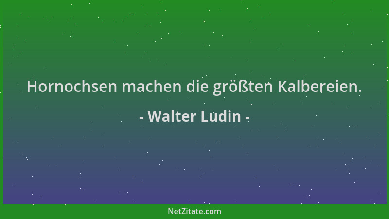 Walter Ludin - Hornochsen machen die größten Kalbereien....
