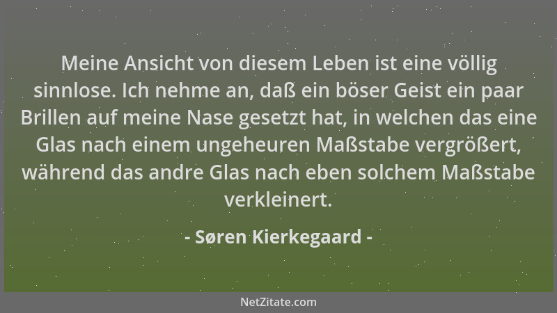 Søren Kierkegaard - Meine Ansicht von diesem Leben ist eine völlig sinnlose. Ich nehme an, daß ein böser Geist ein paar Bri...